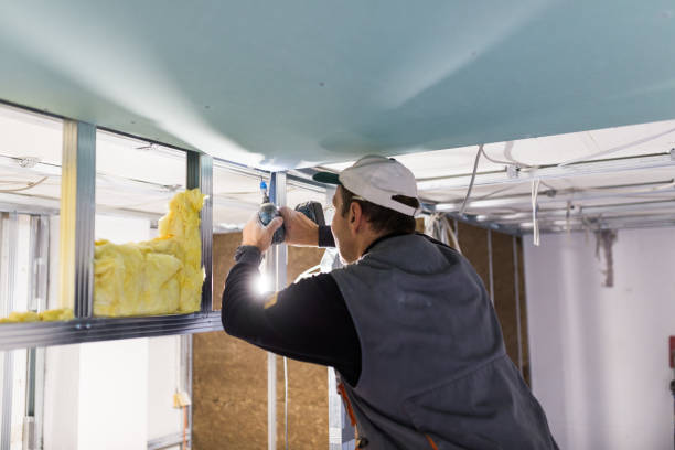 Best Commercial Insulation in Darien, IL