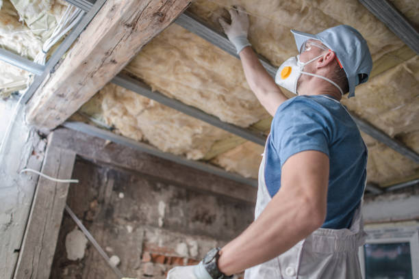 Best Insulation Installation Services in Darien, IL
